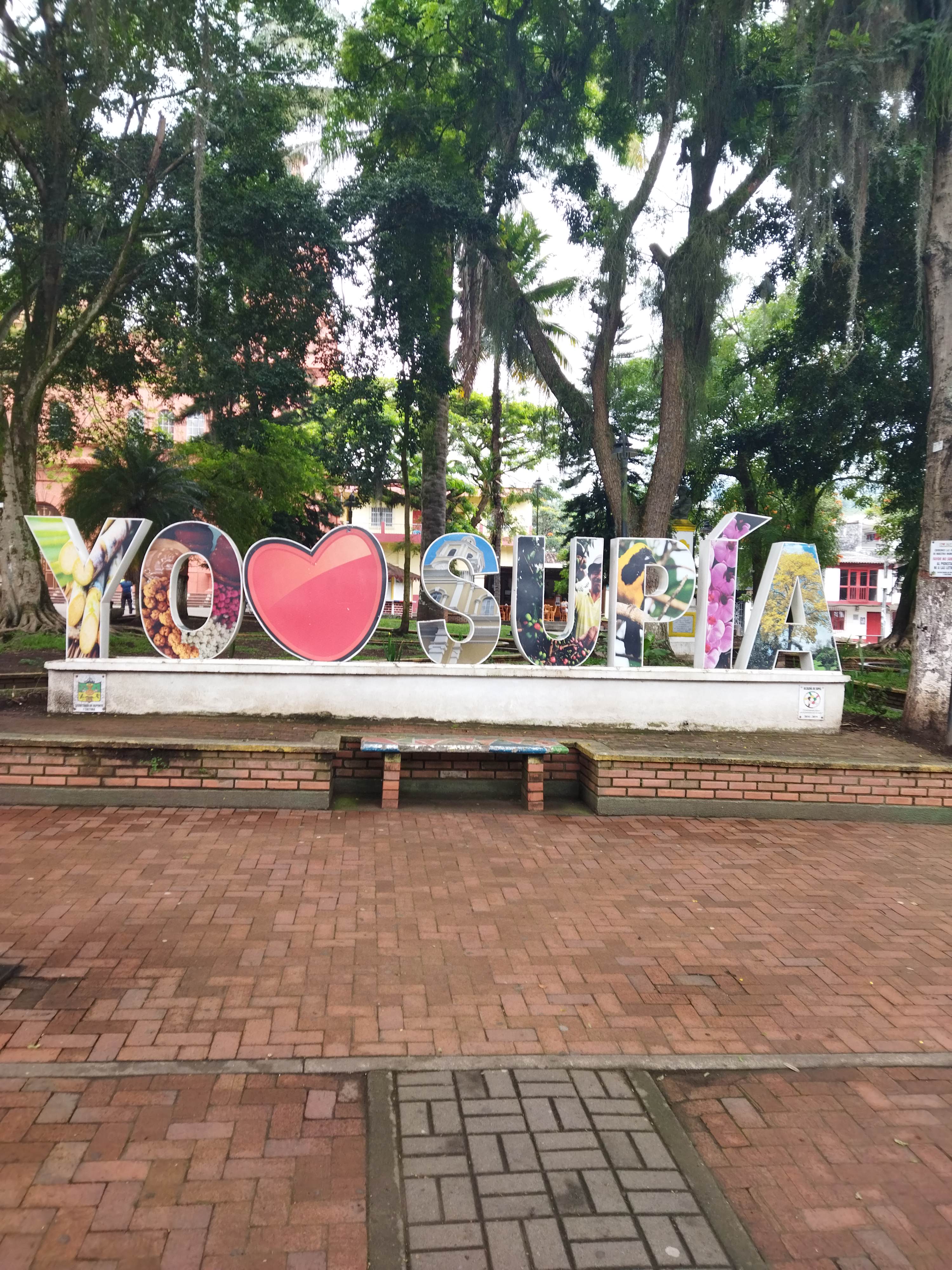 自行车骑行道